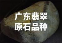 广东翡翠原石品种有哪些？